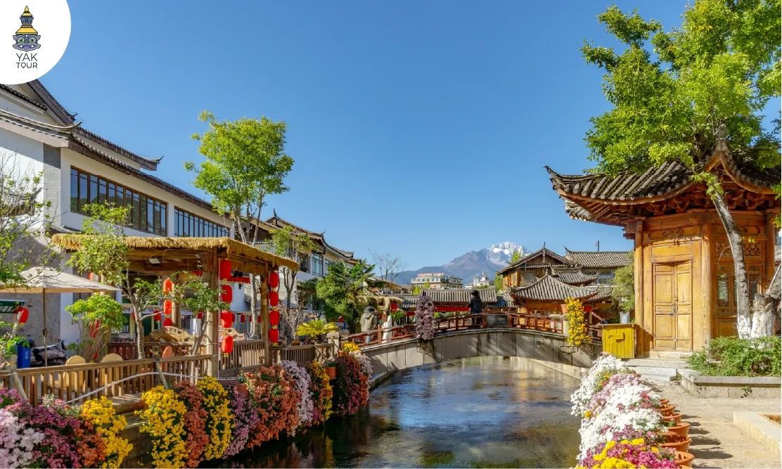 วิวลำธารและดอกไม้ริมทางเดินไม้โบราณในเมืองเก่าลี่เจียงที่มีฉากหลังเป็นภูเขาหิมะ