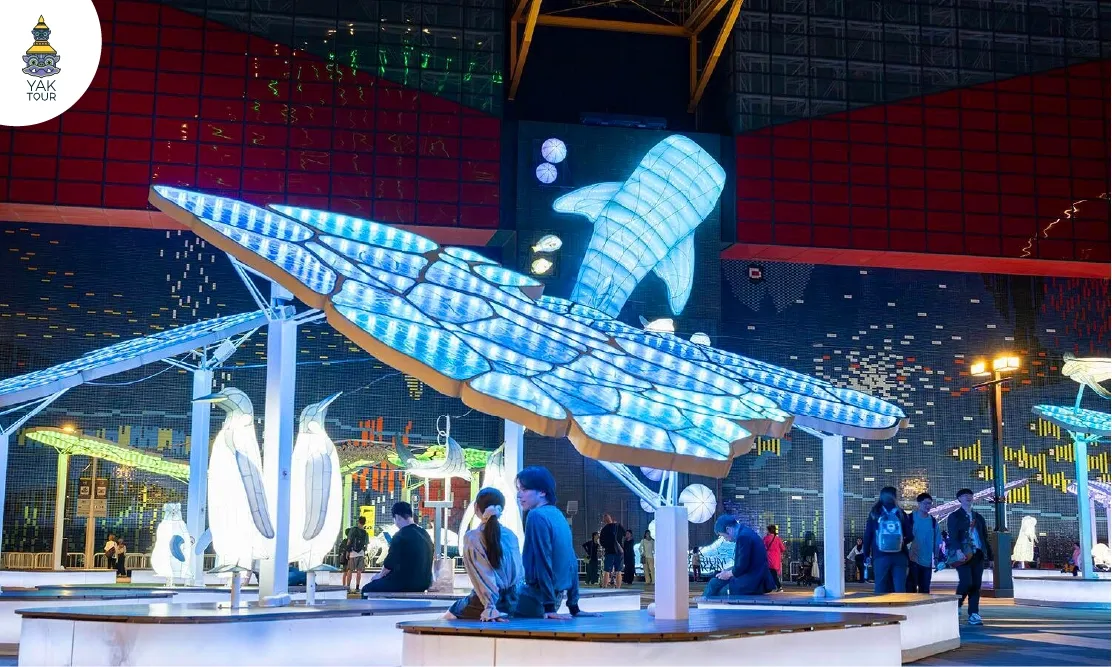 การแสดงประดับไฟรูปสัตว์ทะเลสุดอลังการหน้าพิพิธภัณฑ์สัตว์น้ำไคยูคัง