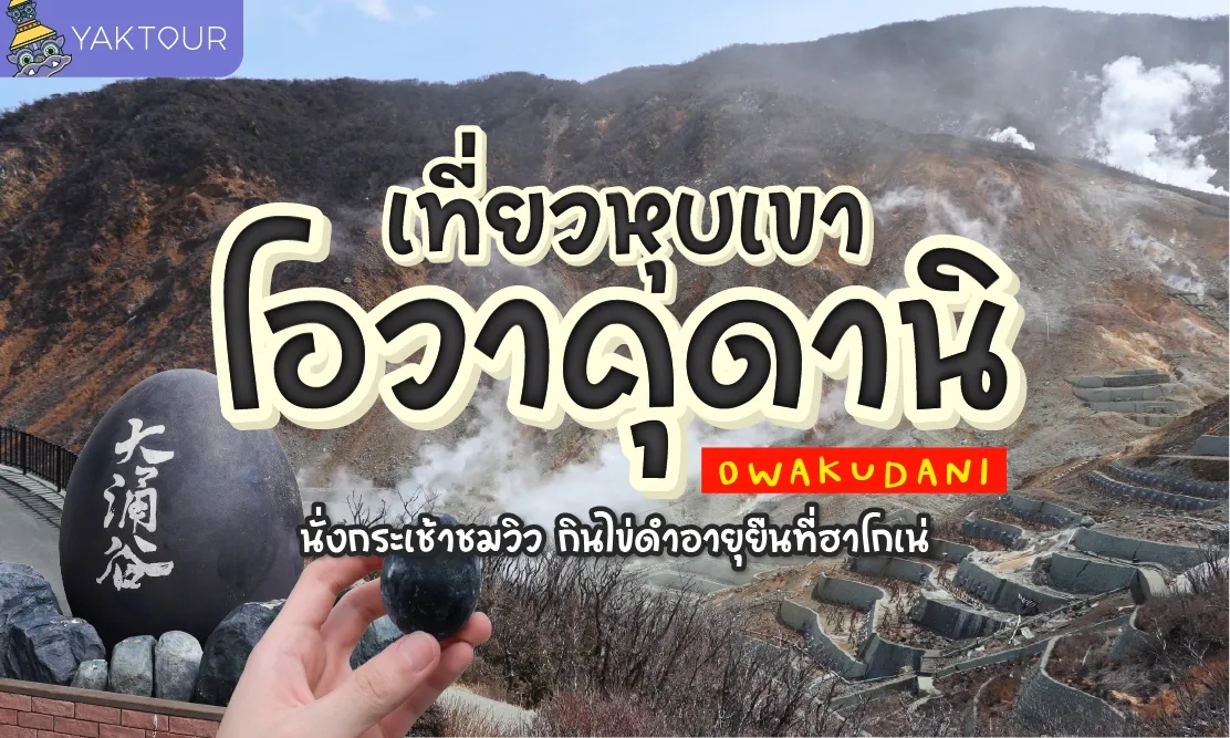 เที่ยวหุบเขาโอวาคุดานิ นั่งกระเช้าชมวิว กินไข่ดำอายุยืน ที่เมืองฮาโกเน่
