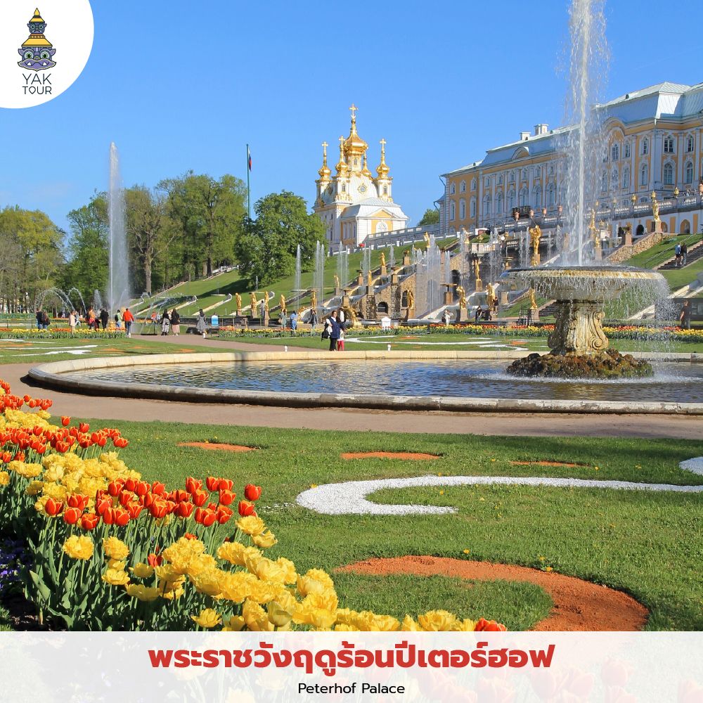 ทัศนียภาพน้ำพุสีทองและสวนดอกไม้หน้าพระราชวังฤดูร้อนปีเตอร์ฮอฟ (Peterhof Palace) แวร์ซายแห่งรัสเซีย
