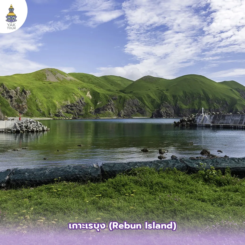 ทุ่งหญ้าสีเขียวและทิวทัศน์ชายฝั่งทะเลที่ เกาะเรบุง (Rebun Island)