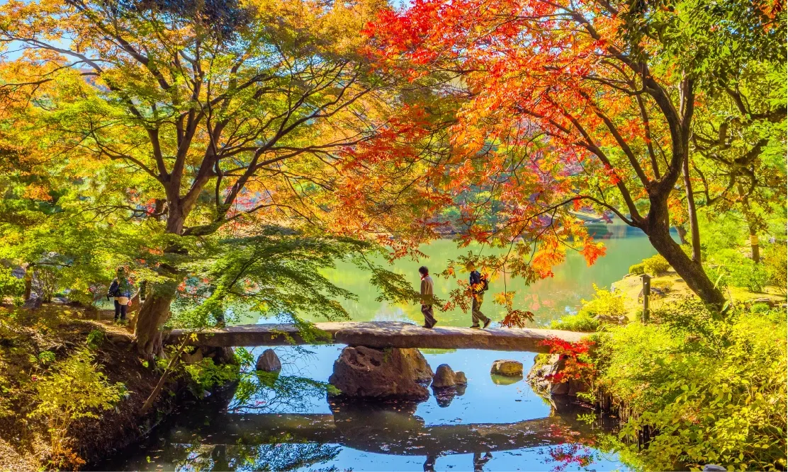 เนินเขาจำลองและสะพานหินกลางบ่อน้ำในช่วงใบไม้เปลี่ยนสีที่สวนริคุกิเอน