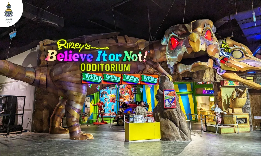 โซนพิพิธภัณฑ์เรื่องแปลกและโครงสร้างไดโนเสาร์ยักษ์ที่ Ripley’s Adventureland