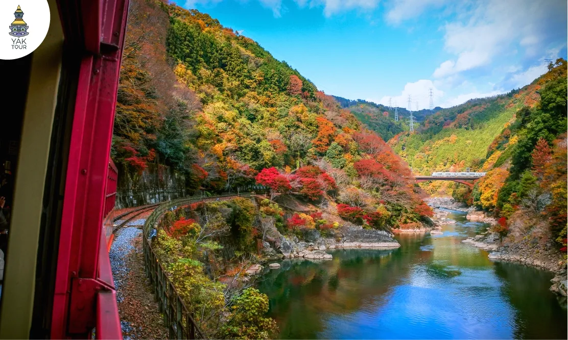 วิวรถไฟสายโรแมนติกซากาโนะวิ่งเลียบแม่น้ำและหุบเขาใบไม้เปลี่ยนสี
