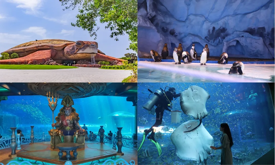 พิพิธภัณฑ์สัตว์น้ำรูปเต่ายักษ์ โซนจัดแสดงเพนกวิน และบรรยากาศตู้ปลาขนาดใหญ่ในโซน Sea Shell