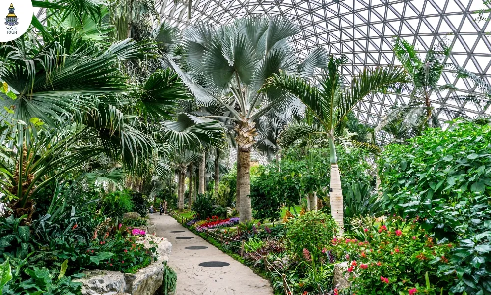 สูดอากาศบริสุทธิ์ที่สวนพฤกษศาสตร์เซี่ยงไฮ้ แหล่งรวมพรรณไม้ไว้นับหมื่นชนิดภายในเรือนกระจกอัจฉริยะ