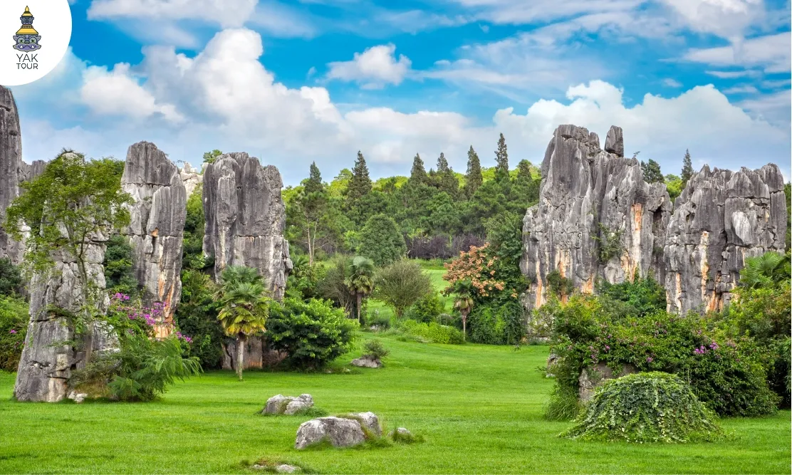 กลุ่มเสาหินปูนรูปร่างแปลกตาท่ามกลางทุ่งหญ้าเขียวขจีในอุทยานป่าหิน ยูนนาน