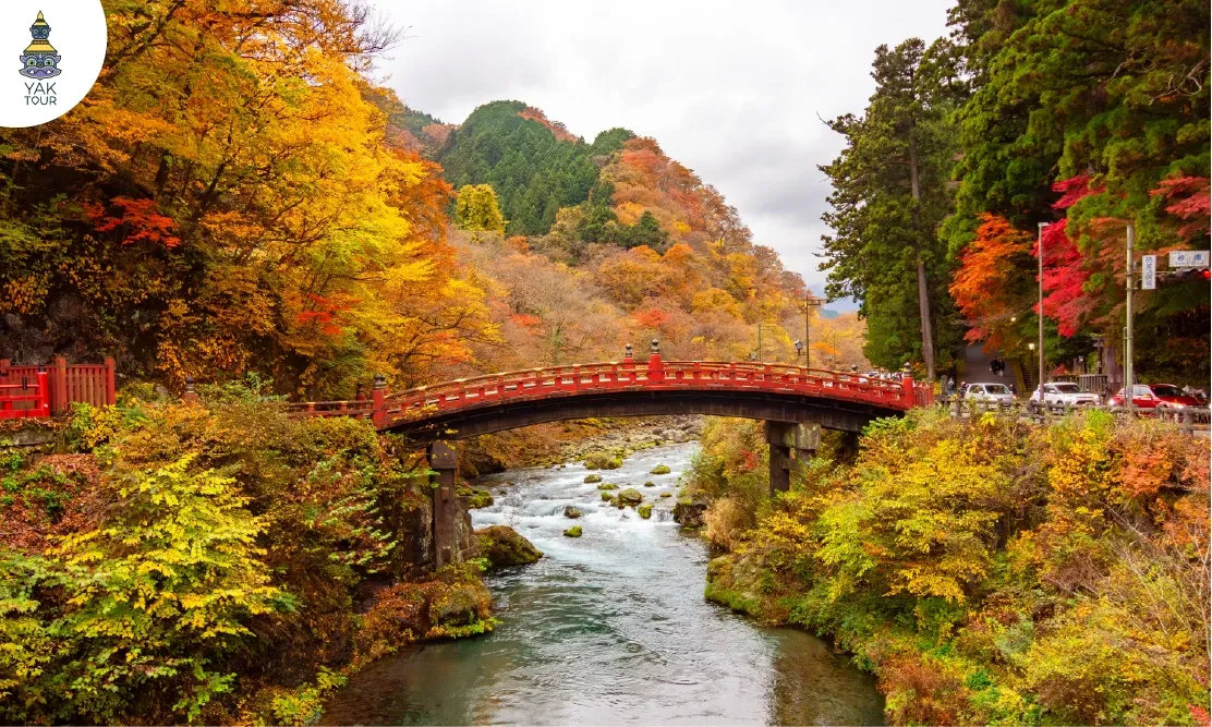 สะพานชินเคียวสีแดงชาดและแม่น้ำใสในฤดูป่าเปลี่ยนสี
