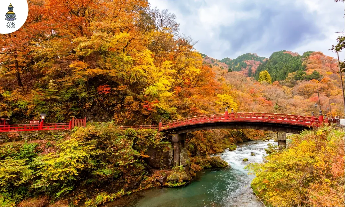สะพานชินเคียว Shinkyo Bridge ท่ามกลางใบไม้เปลี่ยนสีฤดูใบไม้ร่วง