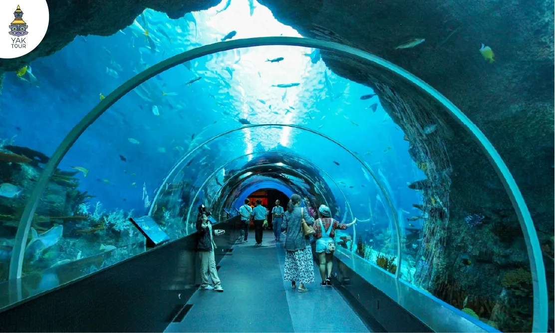 บรรยากาศนักท่องเที่ยวเดินชมความสวยงามภายในอุโมงค์กระจกใสใต้ทะเลลึก ณ Singapore Oceanarium เกาะเซ็นโตซ่า สิงคโปร์