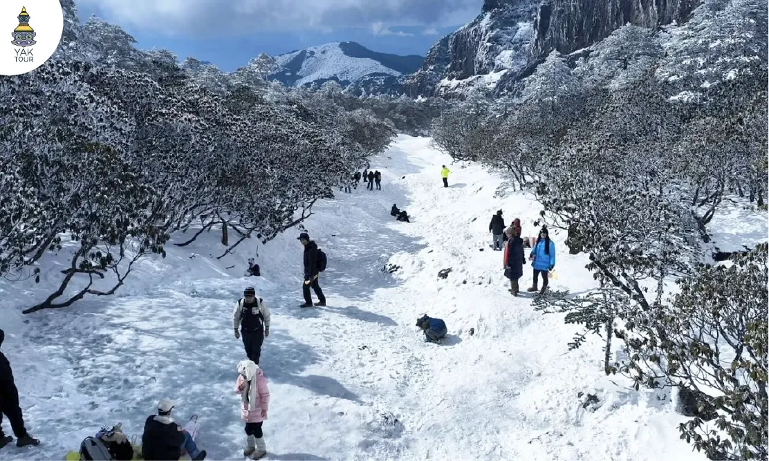 บรรยากาศนักท่องเที่ยวพักผ่อนบนลานหิมะกว้างที่อุทยานแห่งชาติเจียวจื่อ