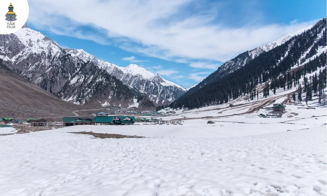 วิวทุ่งหิมะขาวและภูเขาหิมะที่โซนามาร์ค-Sonamarg-ฤดูหนาว