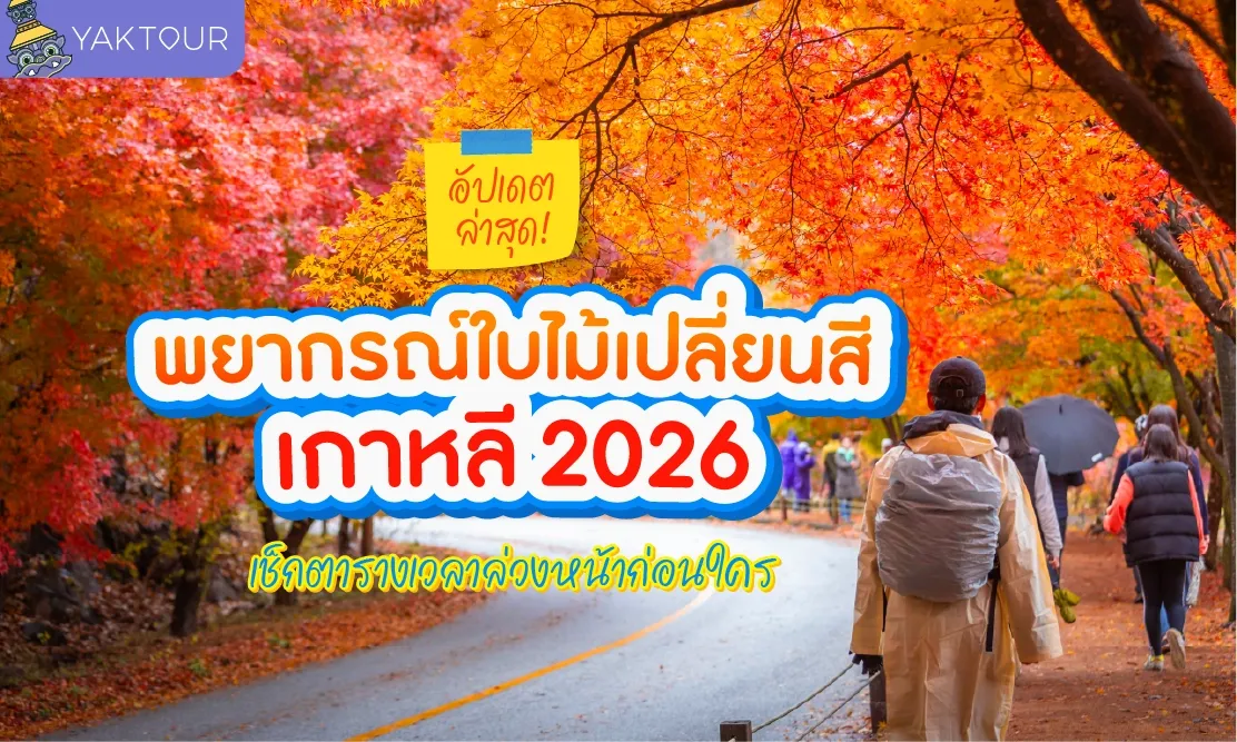 อัปเดตล่าสุด! พยากรณ์ใบไม้เปลี่ยนสี เกาหลี 2026 เช็กตารางเวลาล่วงหน้าก่อนใคร