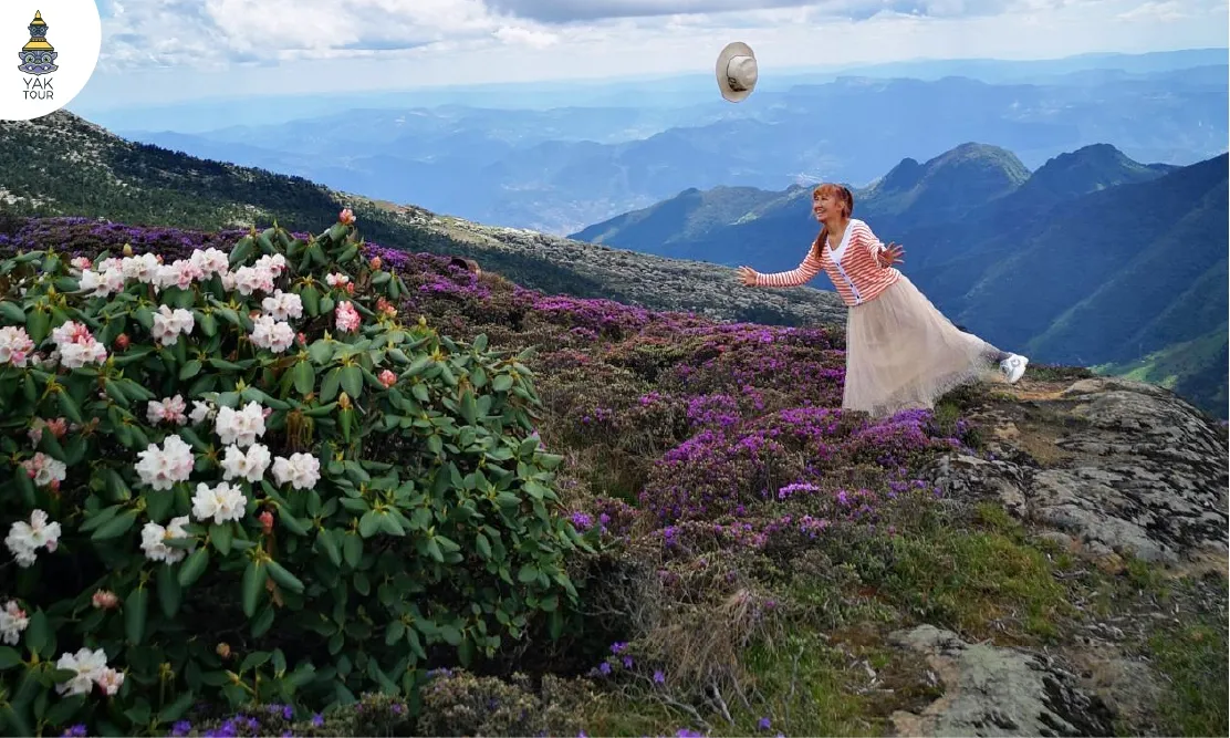 นักท่องเที่ยวถ่ายรูปกับทุ่งดอกไม้และวิวทิวเขาสลับซับซ้อนที่ภูเขาเจียวจื่อ