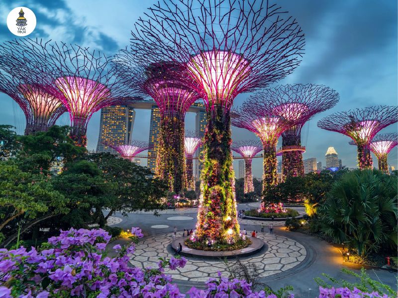 กลุ่มต้นไม้จำลองขนาดยักษ์สูงเด่นตระหง่านในโซน Supertree Grove สัญลักษณ์สำคัญของ Gardens by the Bay