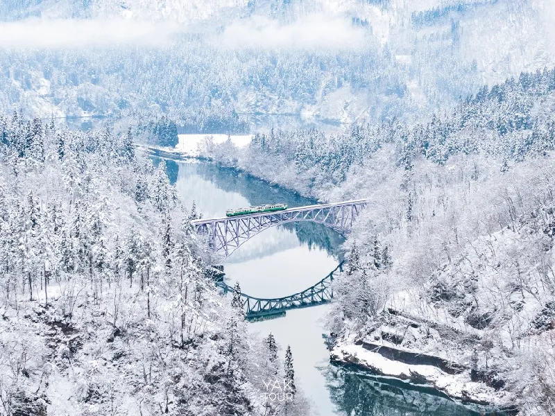 ขบวนรถไฟวิ่งผ่านสะพานข้ามแม่น้ำทาดามิท่ามกลางทัศนียภาพป่าหิมะสีขาวโพลน