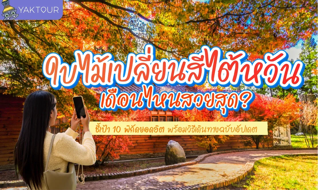ใบไม้เปลี่ยนสี ไต้หวัน เดือนไหนสวยสุด? ชี้เป้า 10 พิกัดยอดฮิต พร้อมวิธีเดินทางฉบับอัปเดต