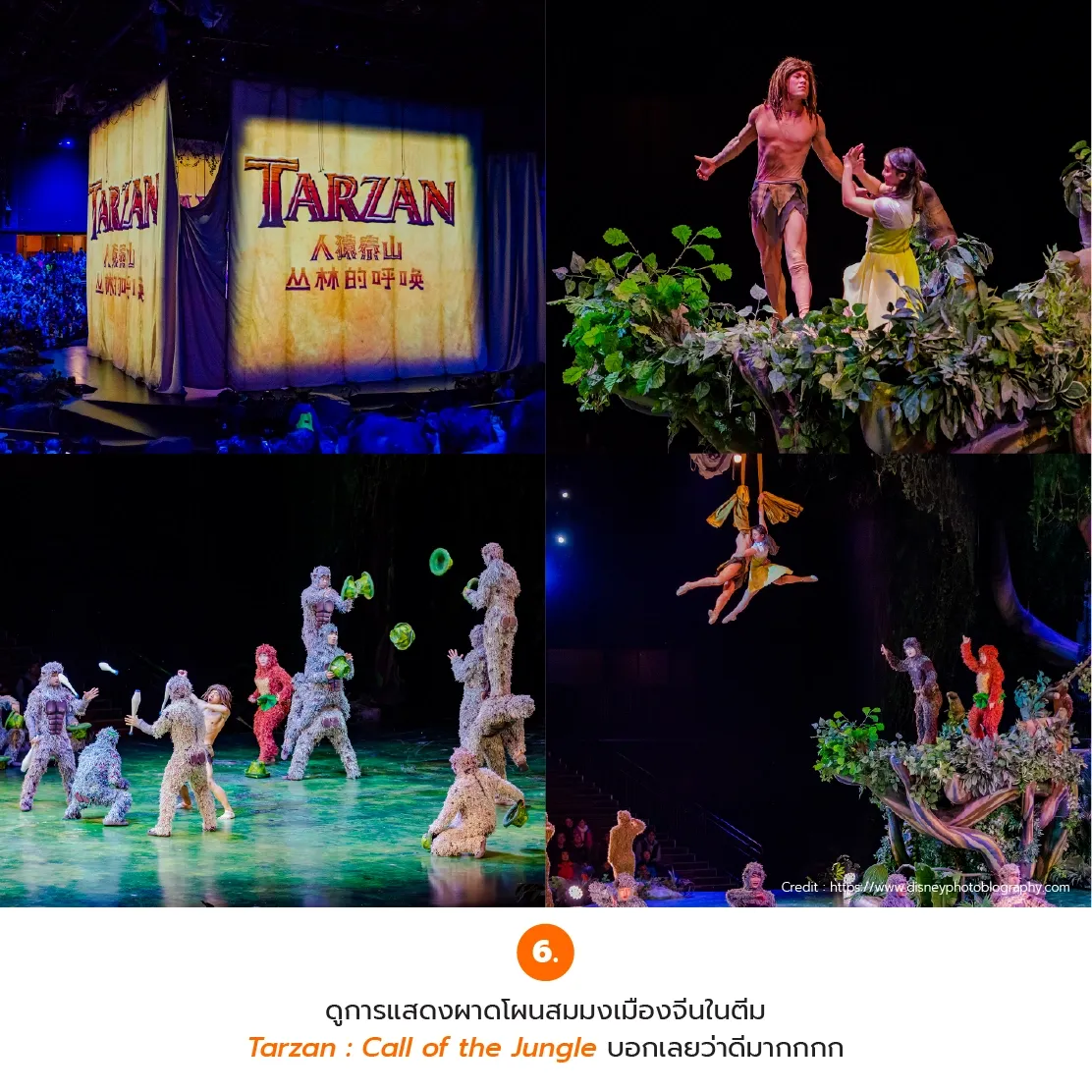บรรยากาศการแสดงสด Tarzan: Call of the Jungle ณ สวนสนุกเซี่ยงไฮ้ดิสนีย์แลนด์