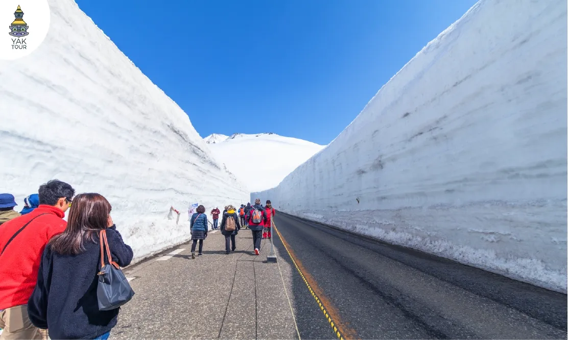 นักท่องเที่ยวเดินชมกำแพงหิมะ (Yuki no Otani) บนเส้นทาง Tateyama Kurobe Alpine Route เจแปนแอลป์