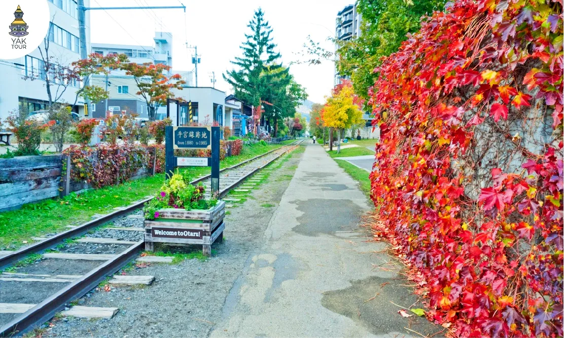 รางรถไฟโบราณขนาบข้างด้วยกำแพงใบไม้เปลี่ยนสีสีแดงสดที่ทางรถไฟสายเก่าเทมิยะ