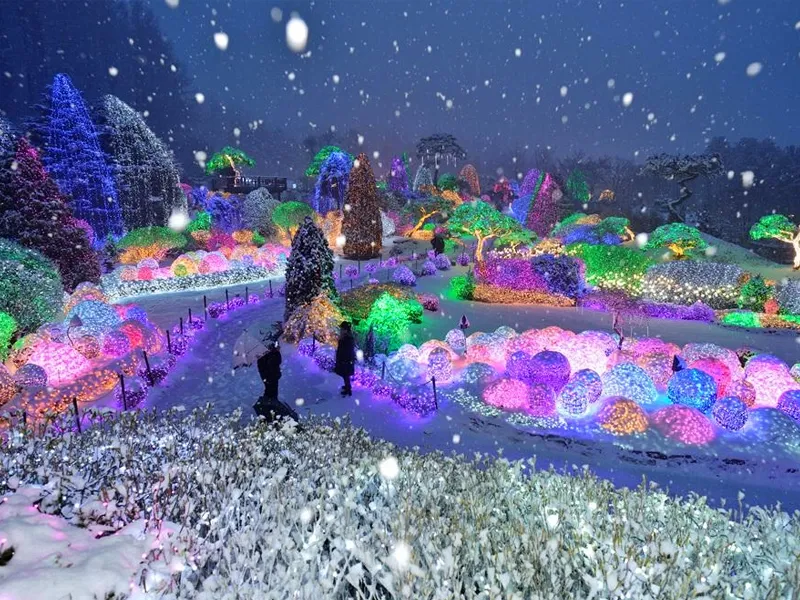 แสงไฟ Illumination หลากสีสันประดับตกแต่งสวนพฤกษศาสตร์ท่ามกลางหิมะตก