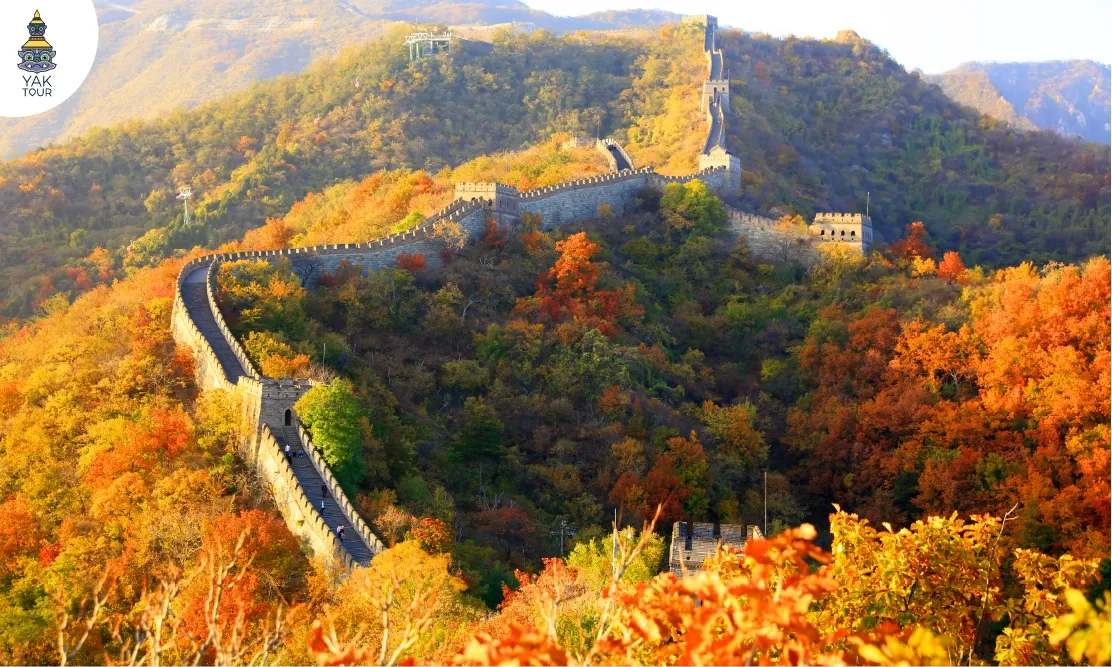 ทิวทัศน์ต้นไม้เปลี่ยนสีรอบกำแพงเมืองจีน The Great Wall of China ด่านซือหม่าไถ ปักกิ่ง