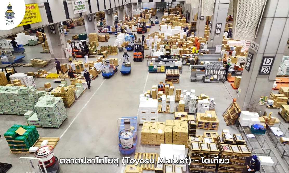บรรยากาศความทันสมัยภายในตลาดปลาโทโยสุ ตลาดปลา ญี่ปุ่น แห่งใหม่ของโตเกียว