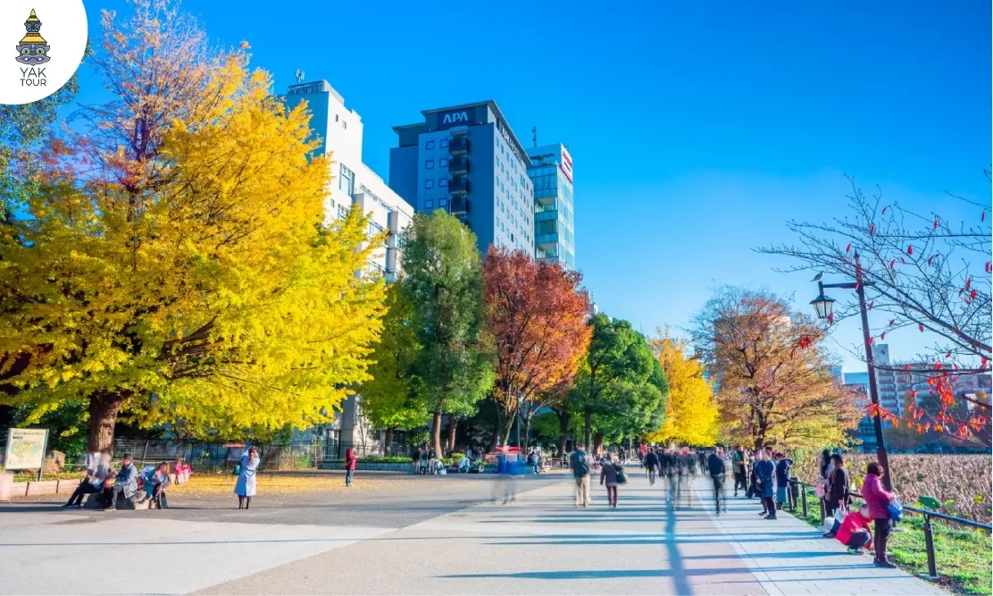 ทางเดินในสวนอุเอโนะ (Ueno Park) รายล้อมด้วยต้นแปะก๊วยสีเหลืองอร่ามและผู้คน