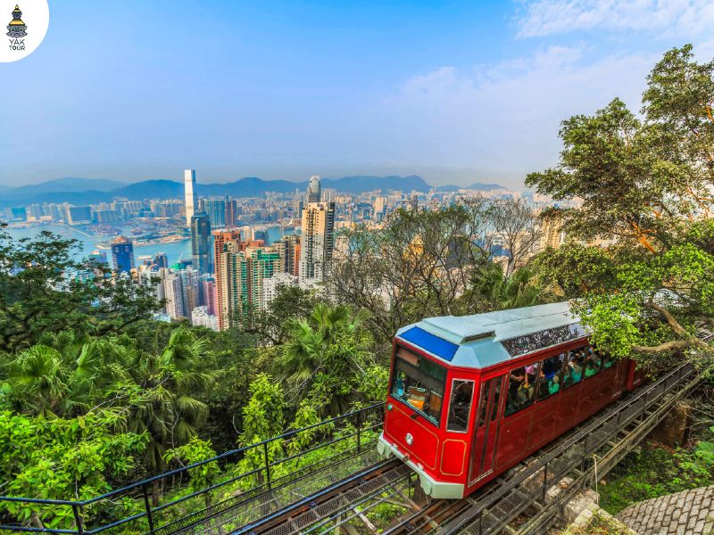 รถราง Peak Tram รุ่นใหม่ กำลังพาผู้โดยสารไต่ระดับความสูงผ่านป่าเขียวขจีมุ่งหน้าสู่ยอดเขา Victoria Peak โดยมีฉากหลังเป็นทิวทัศน์ตึกระฟ้าของฮ่องกง