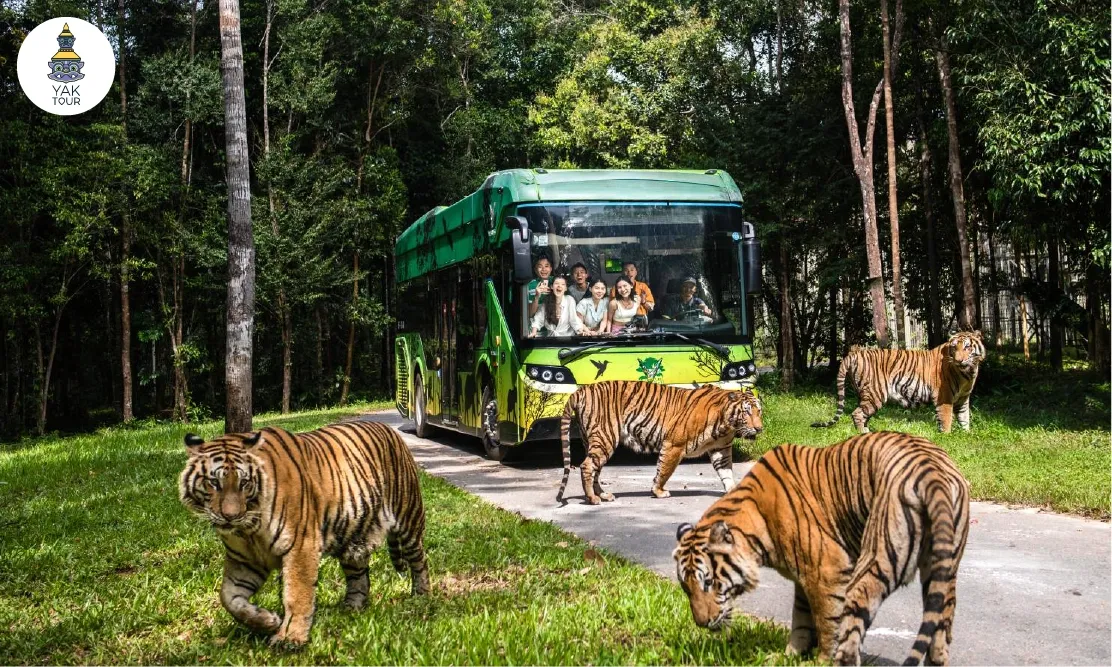 Vinpearl Safari สวนสัตว์เปิดขนาดใหญ่ในเวียดนามใต้กับประสบการณ์นั่งรถบัสส่องเสือและสัตว์ป่าอย่างใกล้ชิด