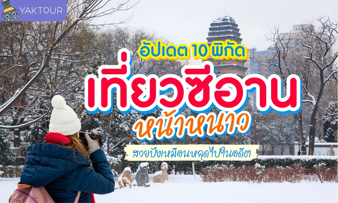 เที่ยวซีอาน หน้าหนาว อัปเดต 10 พิกัดไฮไลต์เมืองจิ๋นซีฮ่องเต้ สวยปังเหมือนหลุดไปในอดีต