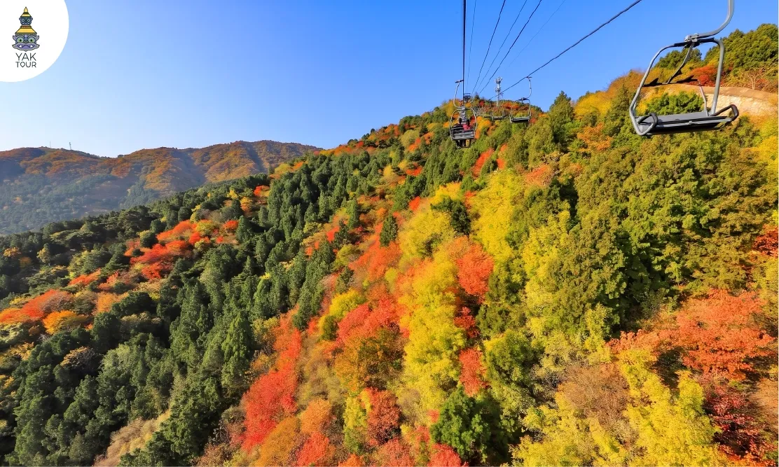  นั่งกระเช้าลอยฟ้าชมป่าเปลี่ยนสีที่ภูเขาเซียงซาน Xiangshan กรุงปักกิ่ง
