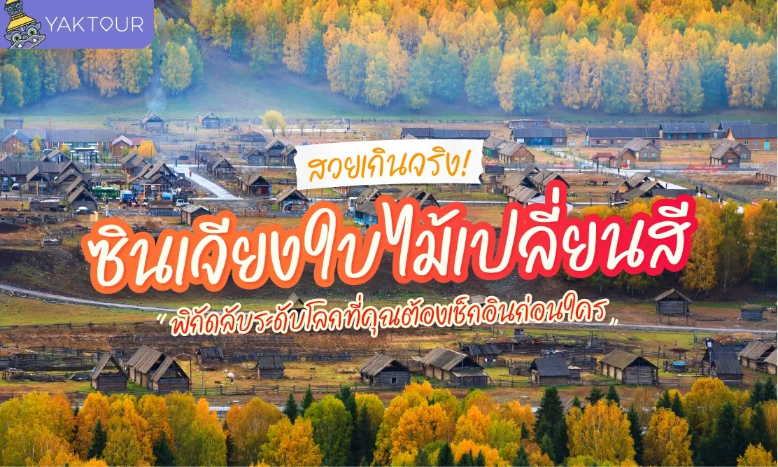 สวยเกินจริง! ซินเจียง ใบไม้เปลี่ยนสี พิกัดลับระดับโลกที่คุณต้องเช็กอินก่อนใคร
