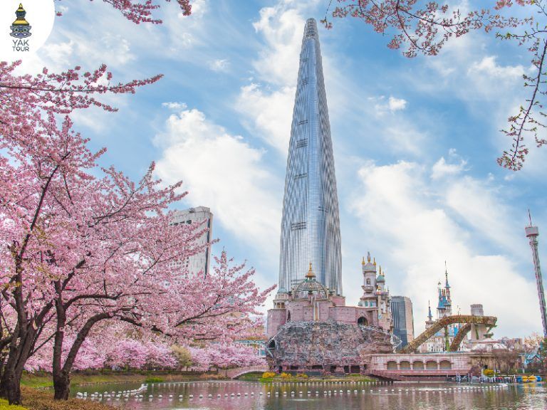 ซากุระ เกาหลี 2026 ทะเลสาบซกชน ซากุระสะท้อนน้ำกับวิว Lotte World โซล