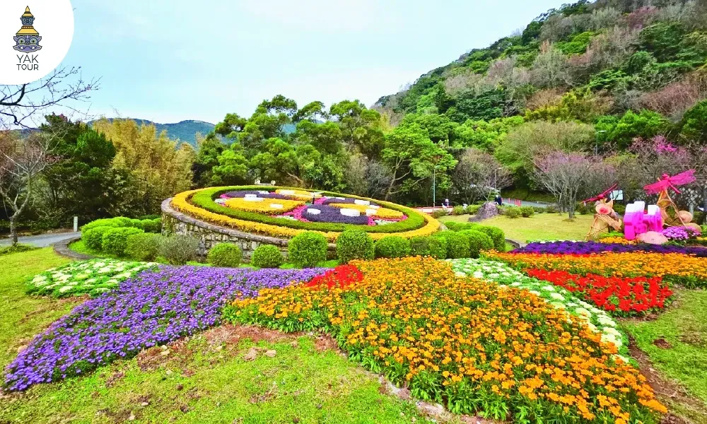 ทุ่งดอกไม้เมืองหนาวหลากสีสันใน อุทยานแห่งชาติหยางหมิงซาน ไทเป