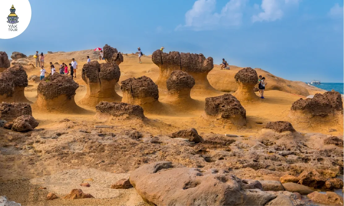กลุ่มหินปูนรูปทรงแปลกตาและหินเศียรราชินีริมทะเลในอุทยานธรณีเย่หลิว