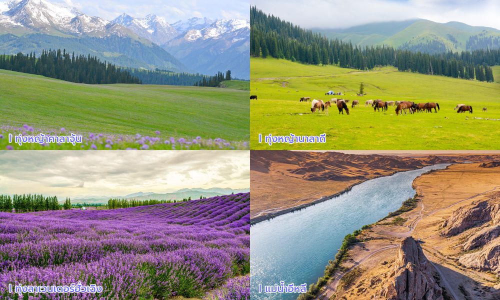 .รวมความมหัศจรรย์ของอีหลี ทุ่งหญ้าเขียวขจีคาลาจุ้นและนาลาถี, ทุ่งลาเวนเดอร์สีม่วงฮั่วเฉิง และทัศนียภาพแม่น้ำอีหลีท่ามกลางขุนเขา