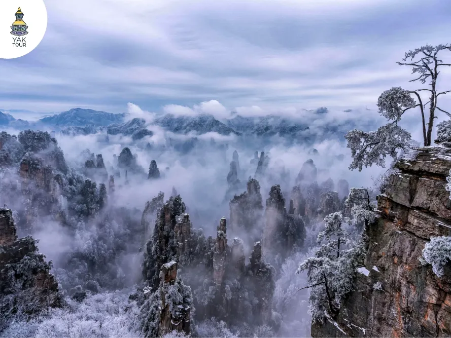 ยอดเขาหินเสาสูงเสียดฟ้าในอุทยานจางเจียเจี้ยท่ามกลางทะเลหมอกและหิมะ