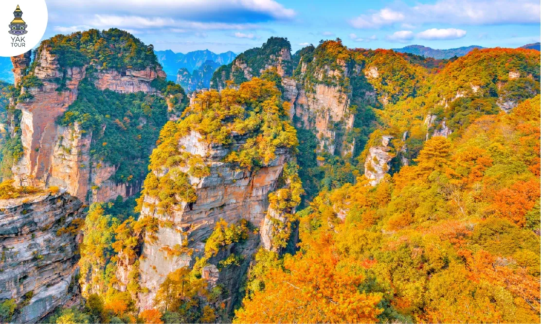 หุบเขาอวตารช่วงฤดูใบไม้ร่วง อุทยานแห่งชาติจางเจียเจี้ย Zhangjiajie National Forest Park