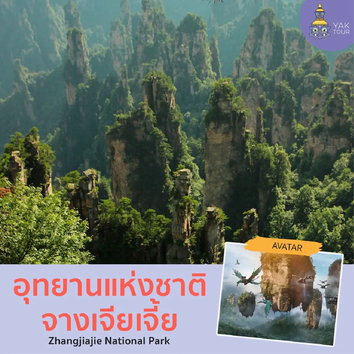 อุทยานแห่งชาติจางเจียเจี้ย ฉากหนังอวตารสำหรับการตามรอยหนังดัง จีน